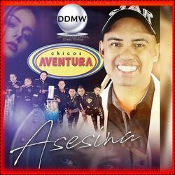 Cover of Asesina