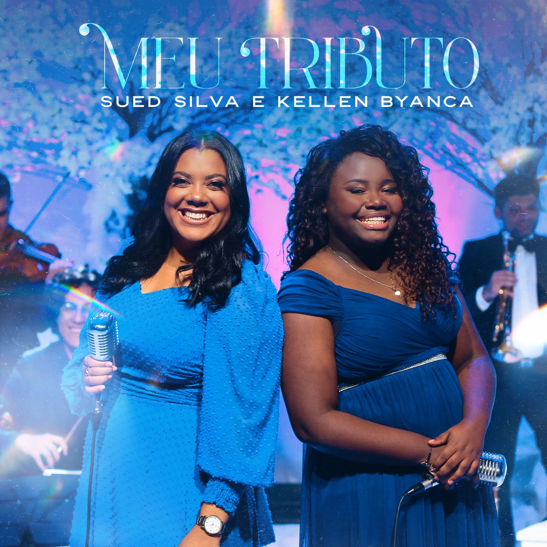 Album cover of Meu Tributo
