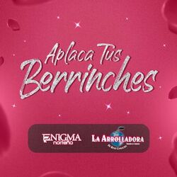 Cover of Aplaca Tus Berrinches