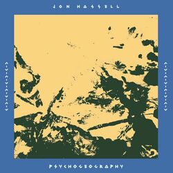 Cover of Psychogeography (Zones Of Feeling)