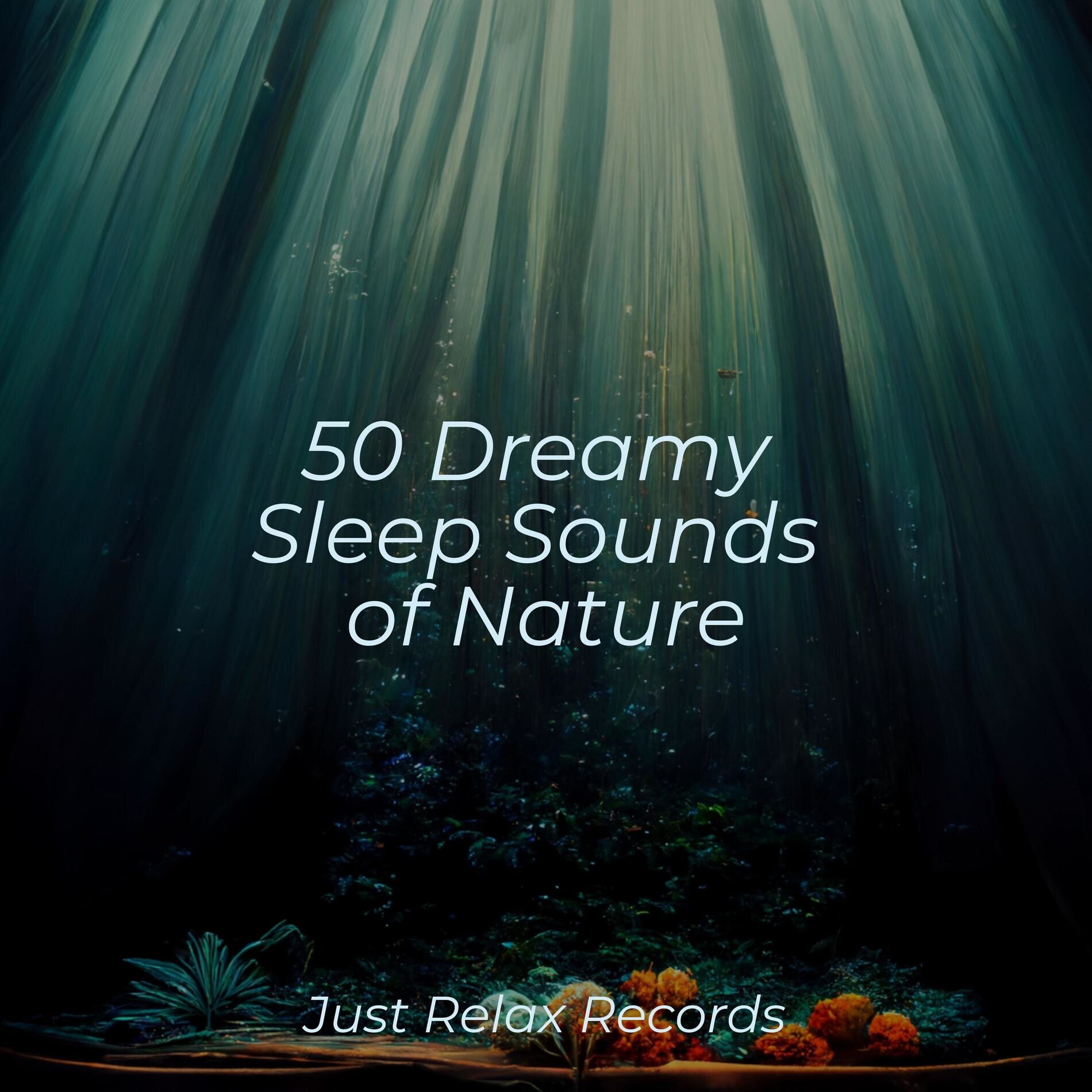 Album cover of 50 Dreamy Sleep Sounds of Nature