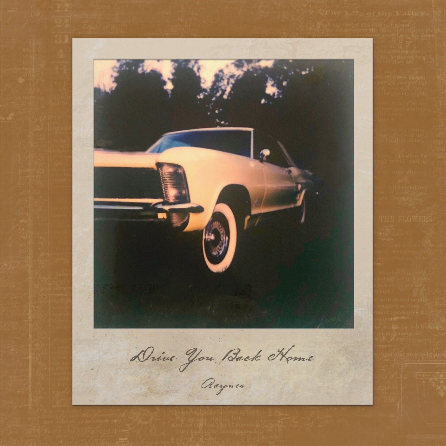 Album cover of Drive You Back Home
