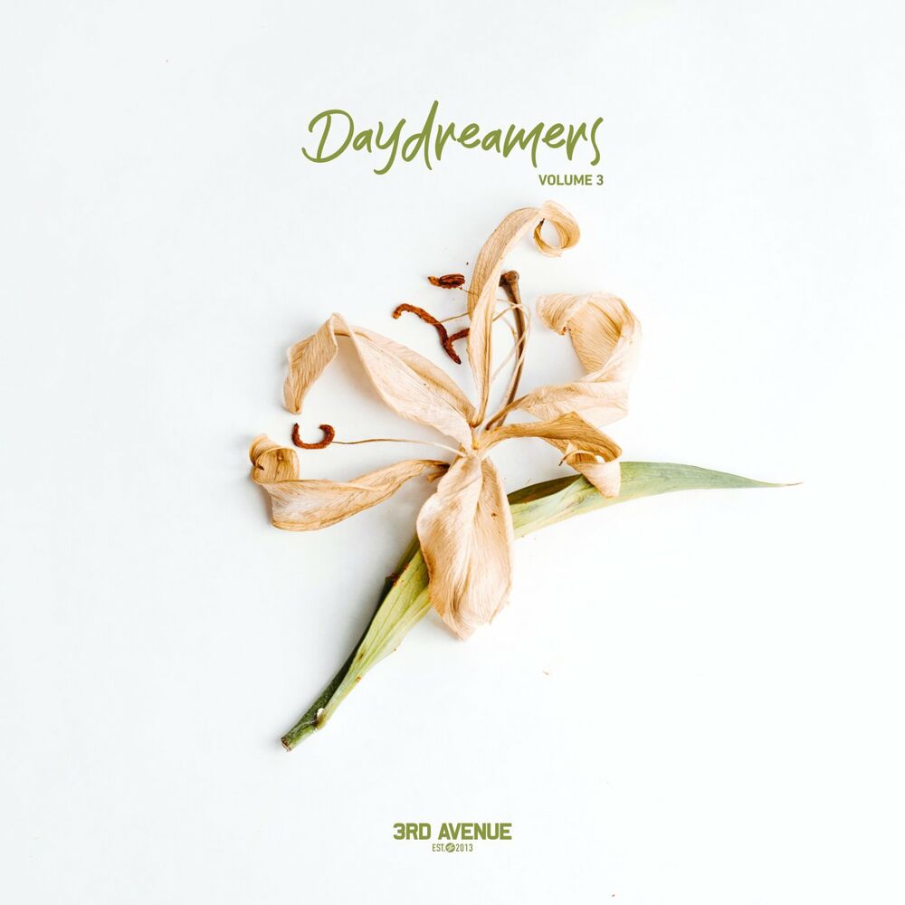 Picture of Daydreamers, Vol. 3