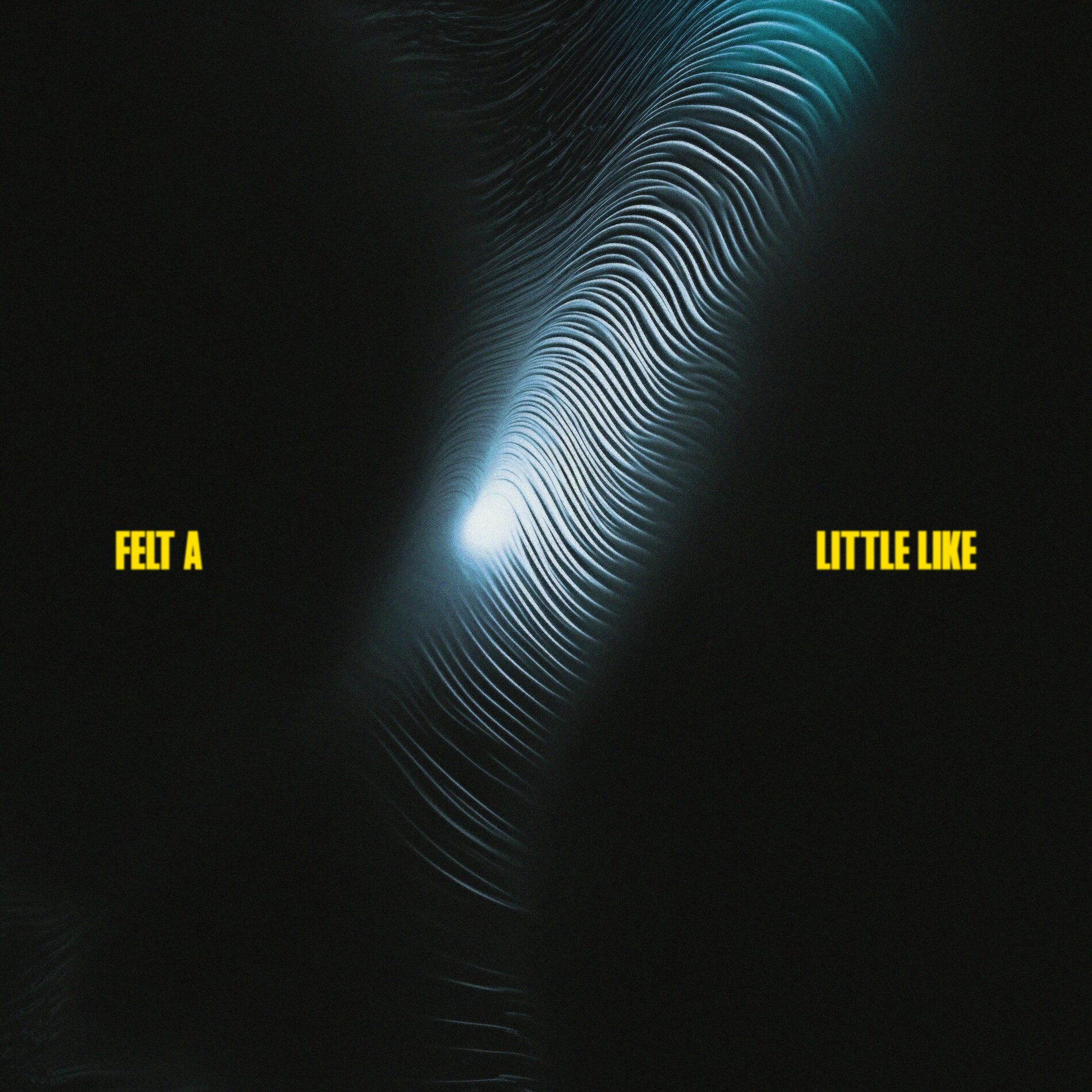 Album cover of Felt A Little Like