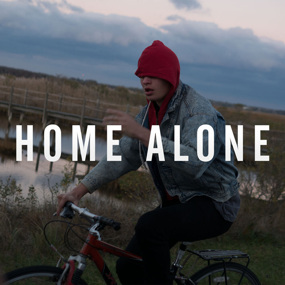 Picture of Home Alone
