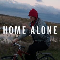 Cover of Home Alone