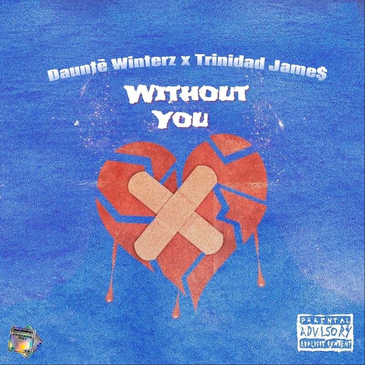 Album cover of Without You
