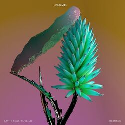 Cover of Say It (Remixes)