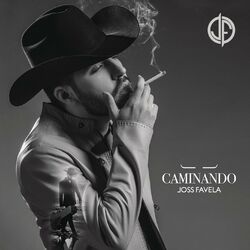 Cover of Caminando