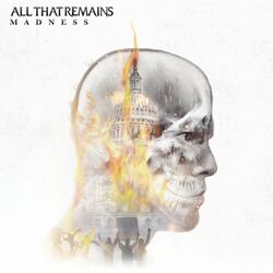 Cover of Madness