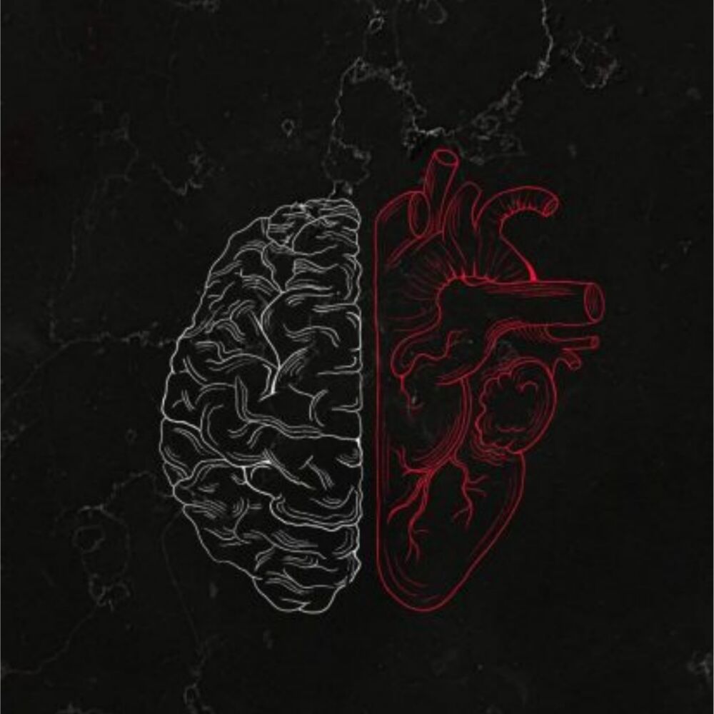 Picture of A'verdade