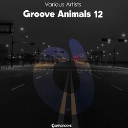Cover of Groove Animals 12