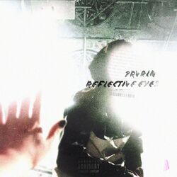 Cover of Reflective Eyes