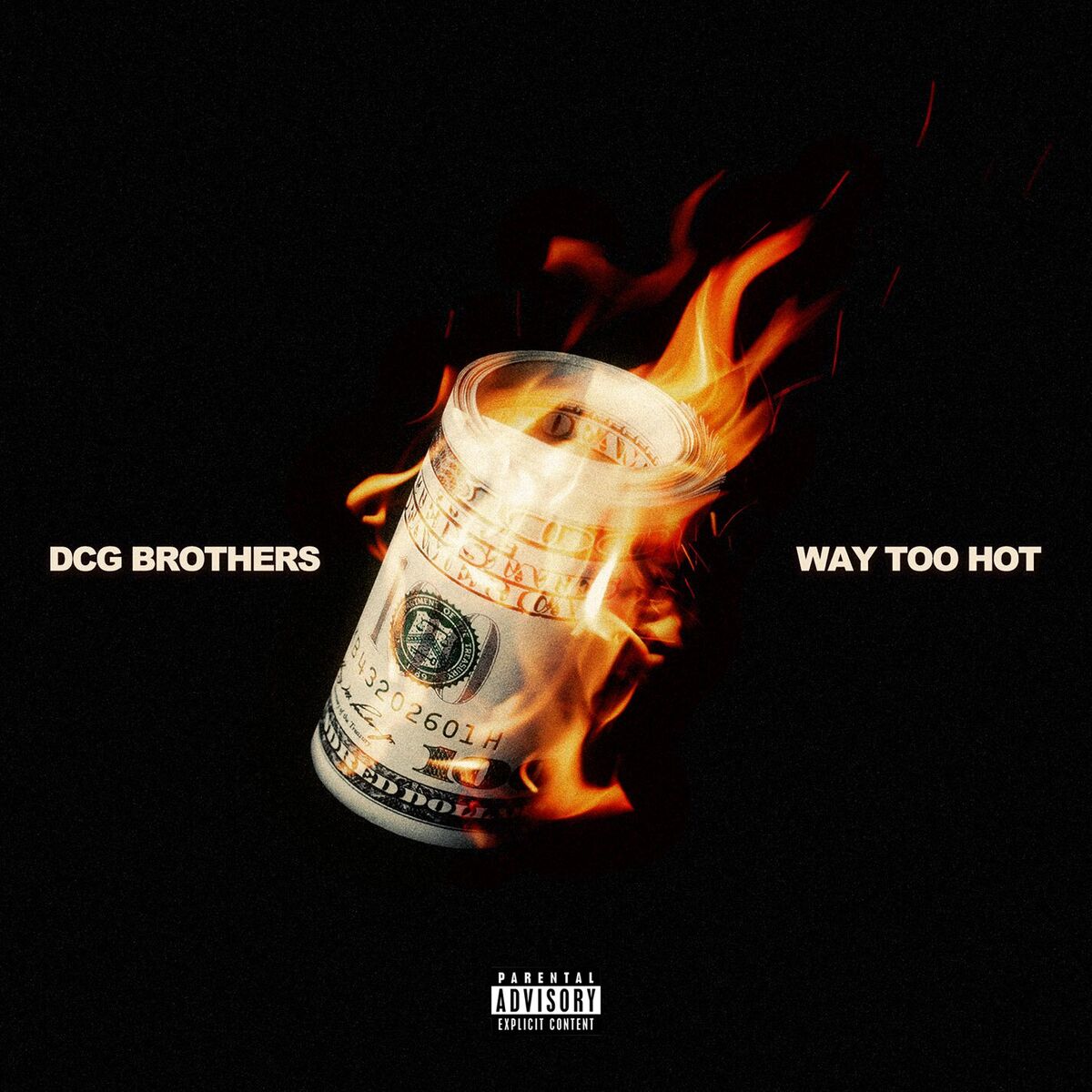 Album cover of Way Too Hot (feat. DCG Msavv)