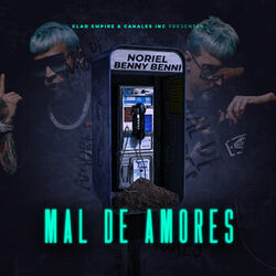 Cover of Mal de Amores