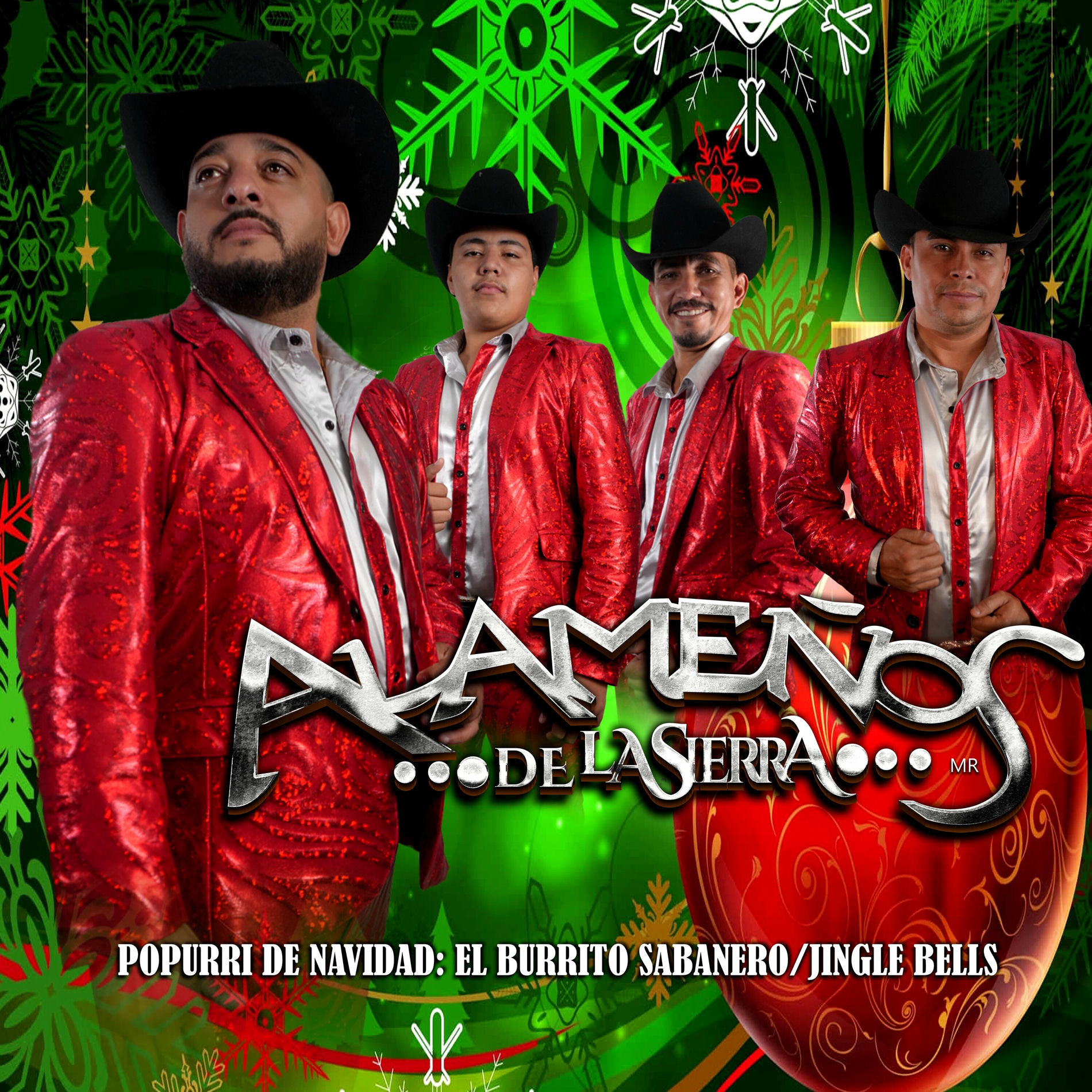 Album cover of Popurri de Navidad : El Burrito Sabanero/Jingle Bells