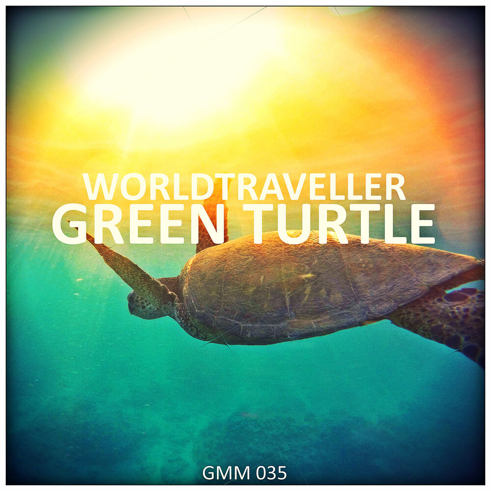 Picture of Green Turtle