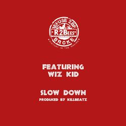 Cover of Slow Down (feat. Wiz Kid)