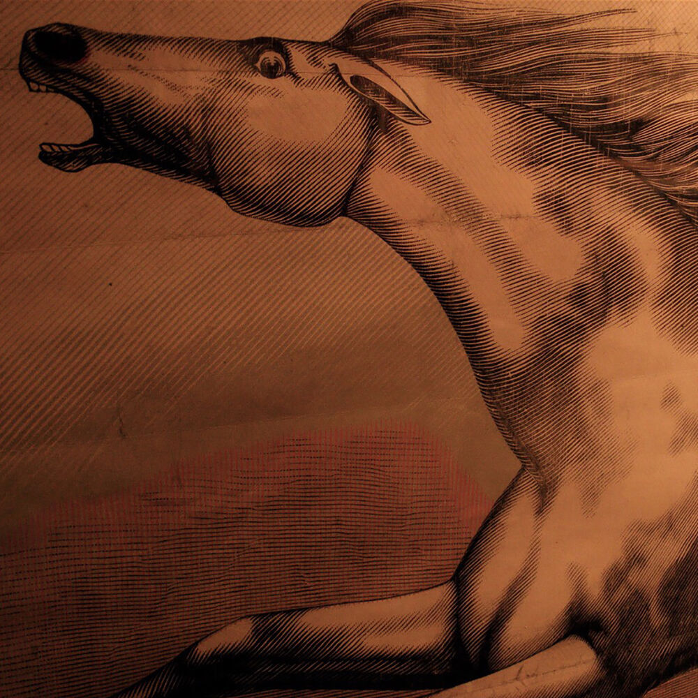 Picture of Mare