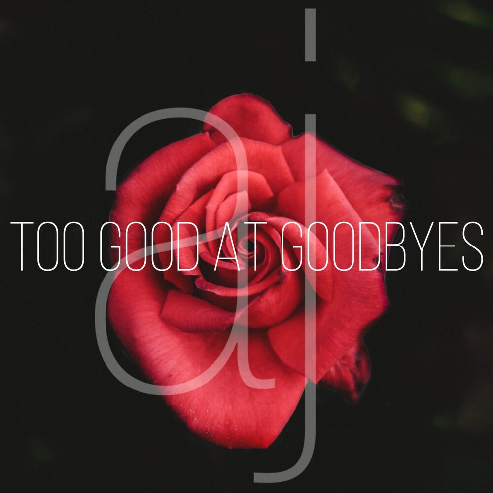 Picture of Too Good at Goodbyes