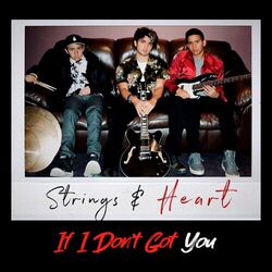 Cover of If I Don't Got You