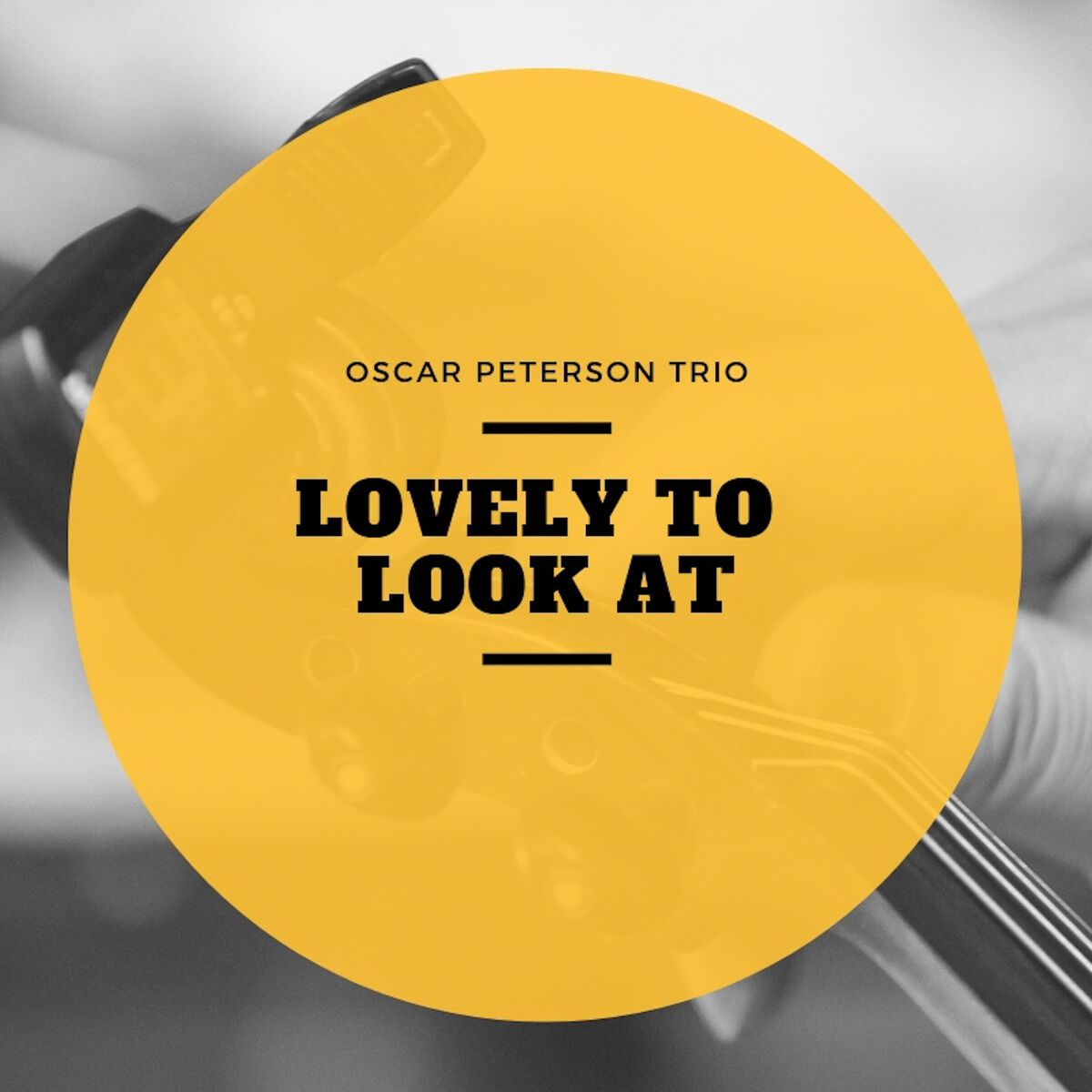 Album cover of Lovely to Look At