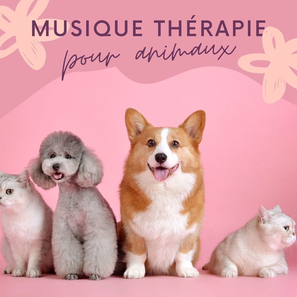 Album cover of Musique thérapie pour animaux: Chansons pour déstresser nos animaux de compagnie, musique calmante