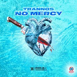 Cover of No Mercy