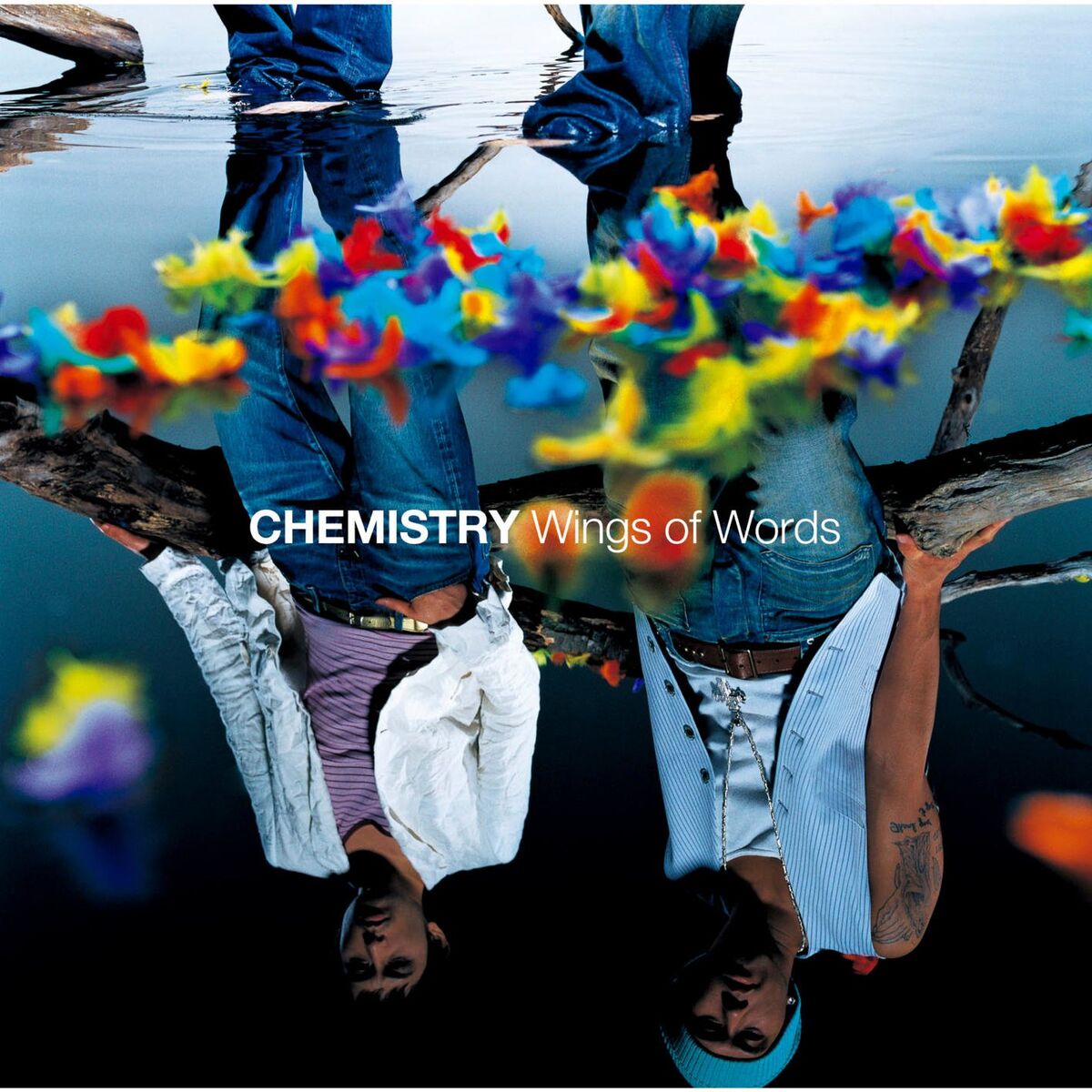 Album cover of Wings of Words