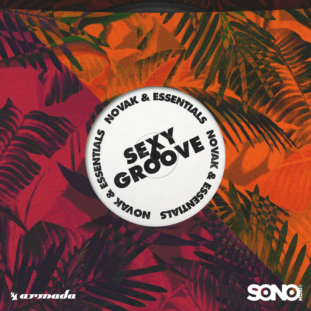Picture of Sexy Groove
