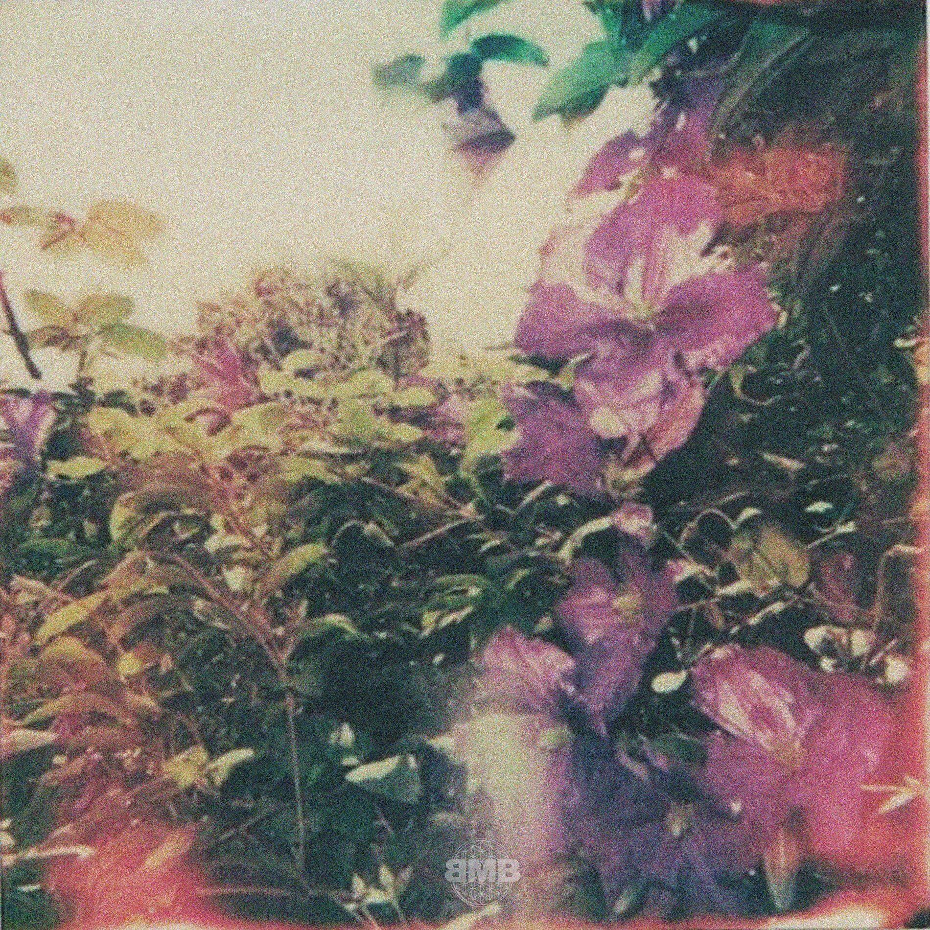Album cover of saturdaze w/ less people