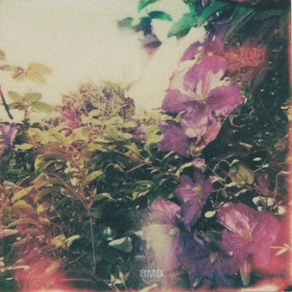 Picture of stop and smell the flowers sometime