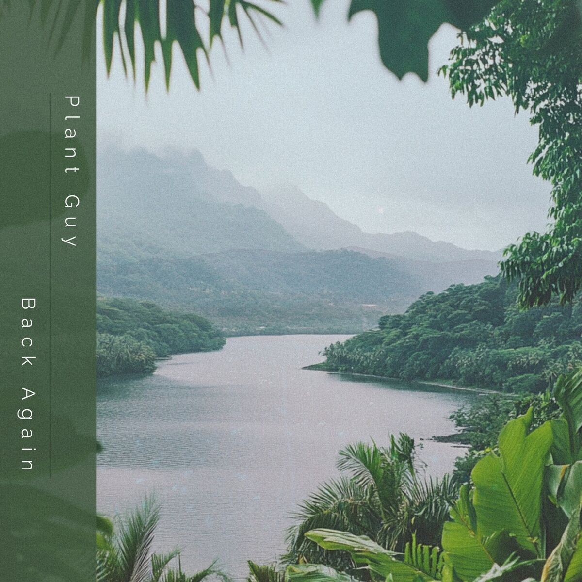 Album cover of Back Again