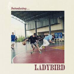 Cover of Introducing...