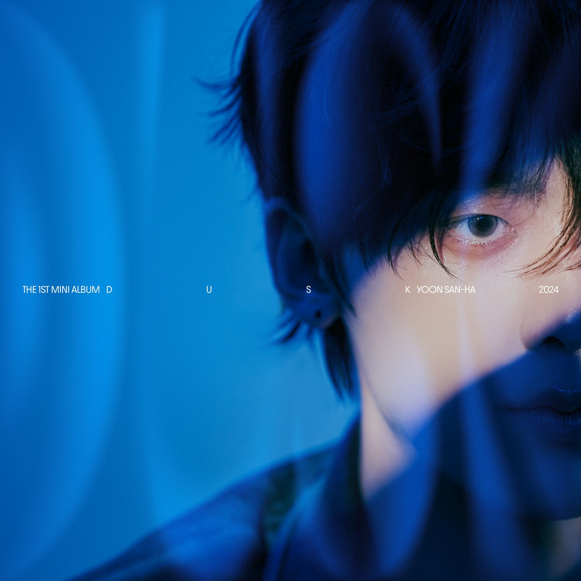 Album cover of DUSK