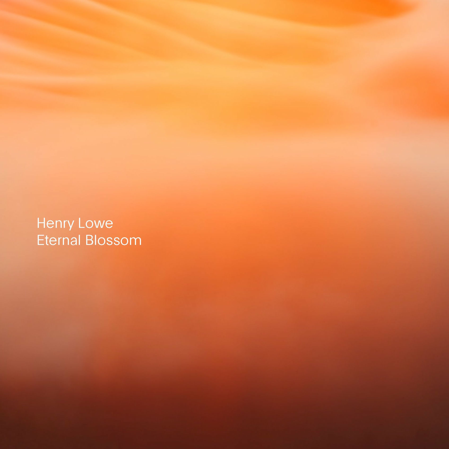 Album cover of Eternal Blossom