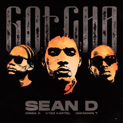 Cover of Gotcha