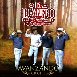 Cover of Avanzando por chile