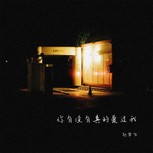 你有没有真的爱过我