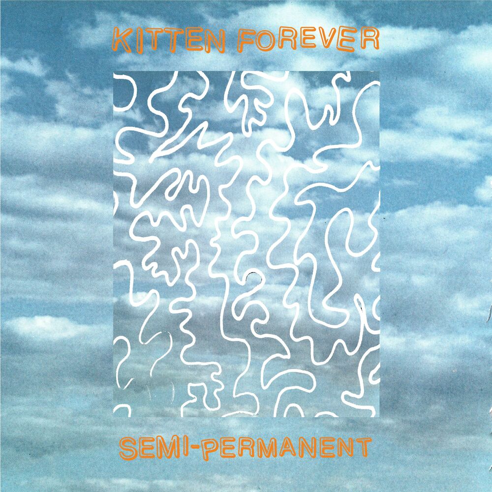 Picture of Semi-Permanent