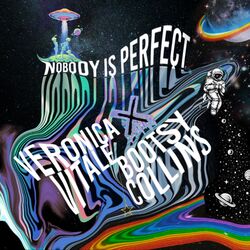 Cover of Nobody Is Perfect