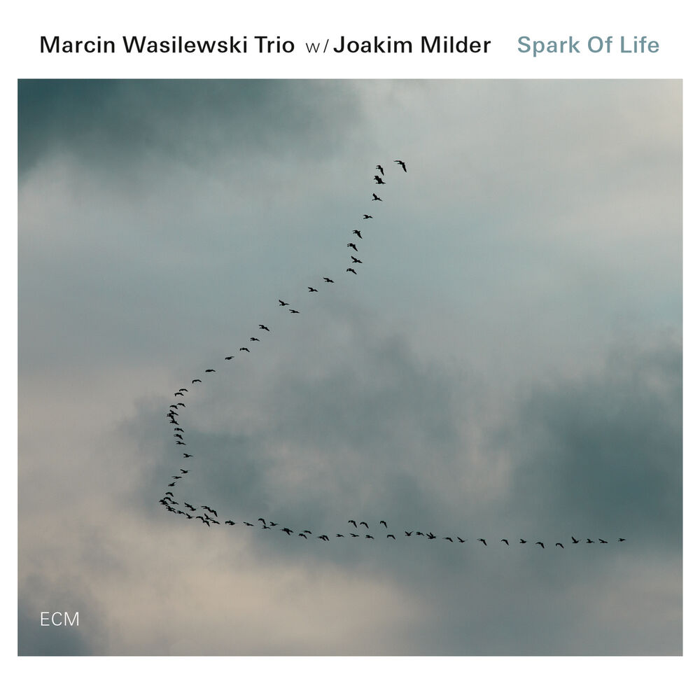 Picture of Spark Of Life