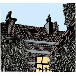 Cover of Daylight