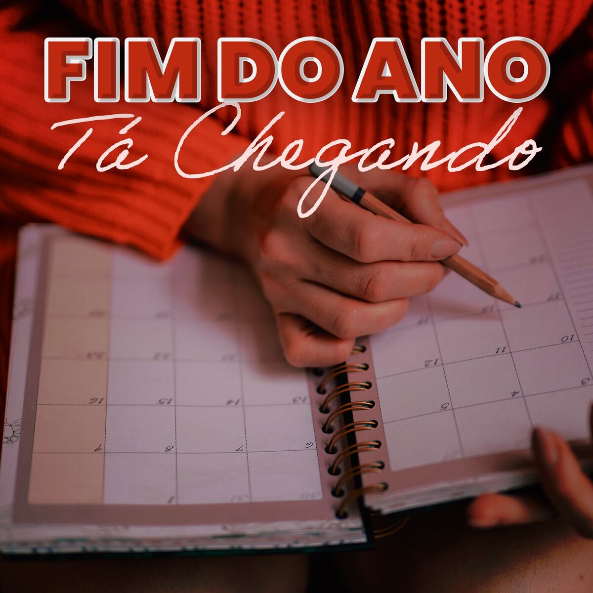 Album cover of Fim do Ano Tá Chegando