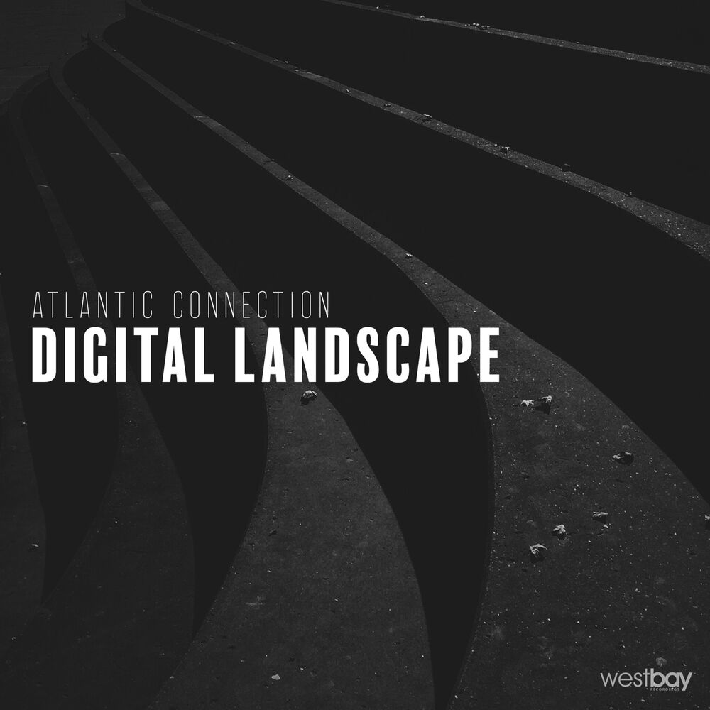 Picture of Digital Landscape