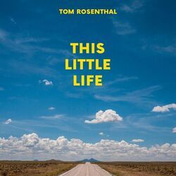 Cover of This Little Life