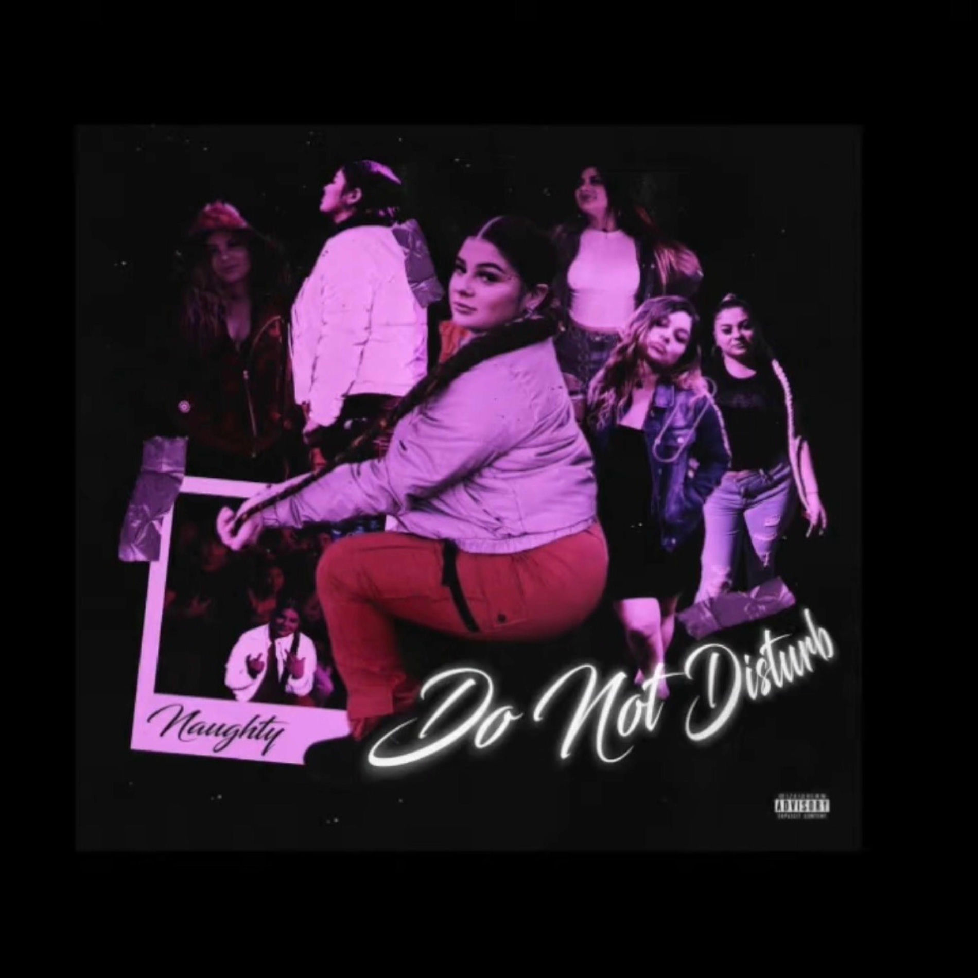 Album cover of Please Do Not Distrub