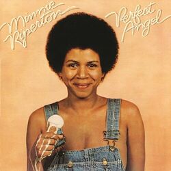Cover of Perfect Angel