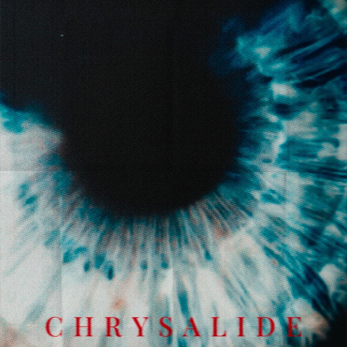 Album cover of CHRYSALIDE