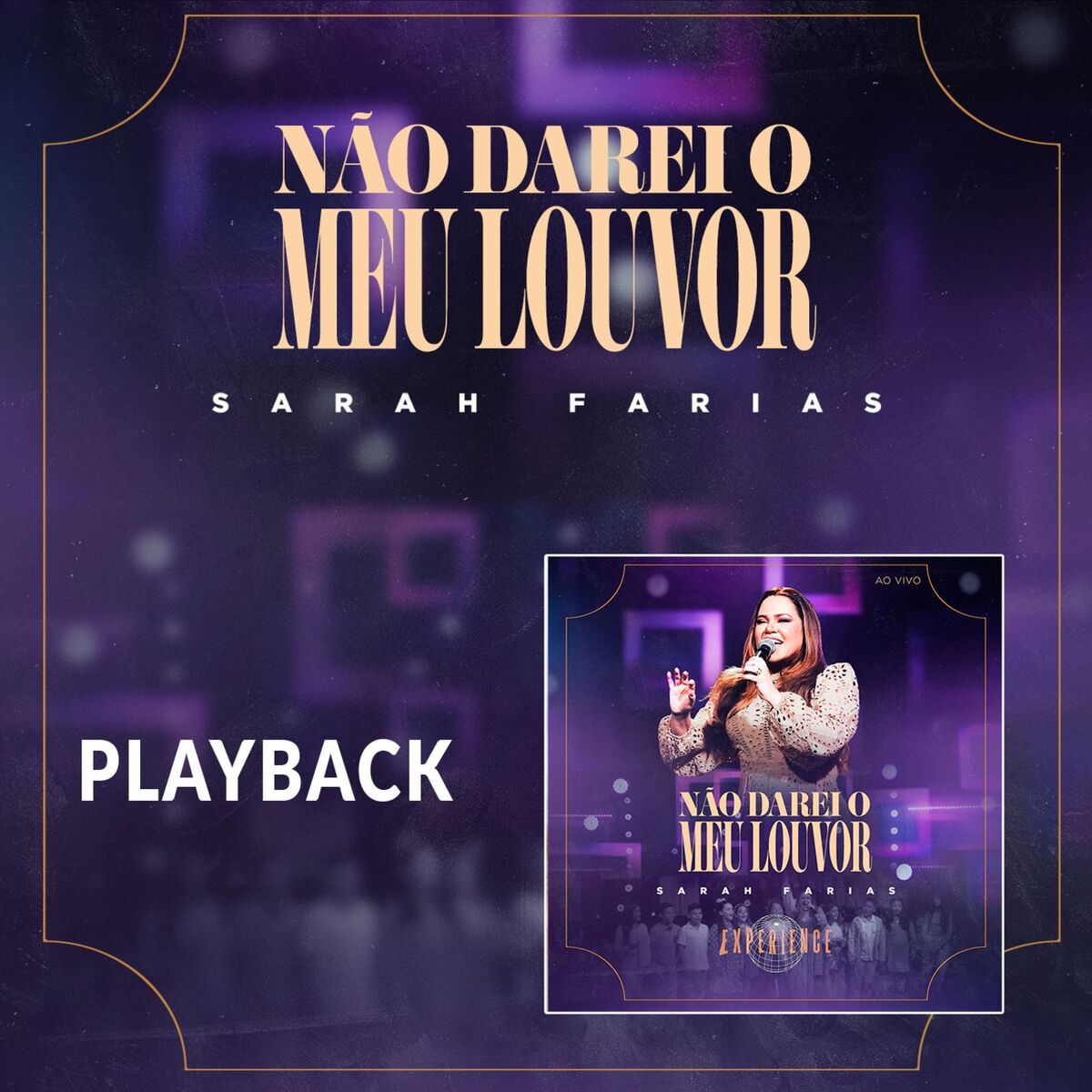 Album cover of Não Darei o Meu Louvor (Playback)